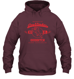 Property Of Gryffindor Quidditch Harry Potter Hoodie