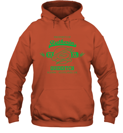 Property Of Slytherin Quidditch Harry Potter Hoodie Hoodie Orange