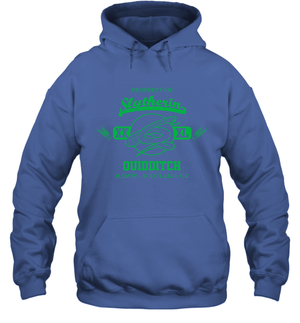 Property Of Slytherin Quidditch Harry Potter Hoodie