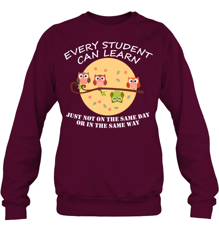 Every Student Can Learn Just Not In The Same Day Or In The Same Way Unisex Fleece Pullover Sweatshirt Maroon