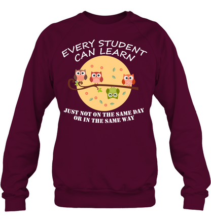 Every Student Can Learn Just Not In The Same Day Or In The Same Way Unisex Fleece Pullover Sweatshirt Maroon