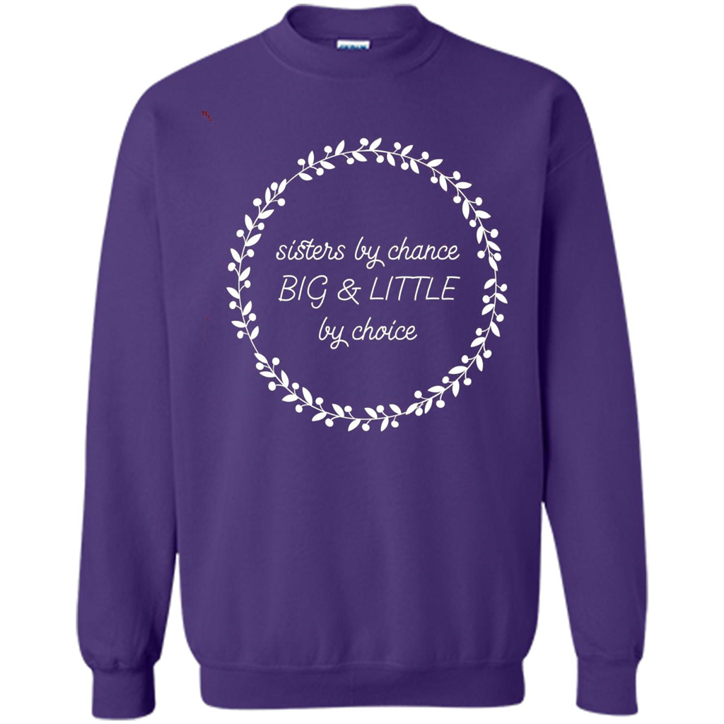 Sisters By Chance Big And Little By Choice T-Shirt Purple