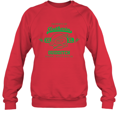 Property Of Slytherin Quidditch Harry Potter Sweatshirt Sweatshirt Red