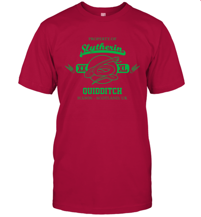 Property Of Slytherin Quidditch Harry Potter T-Shirt T-Shirt Cardinal
