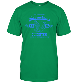 Property Of Ravenclaw Quidditch Harry Potter T-Shirt