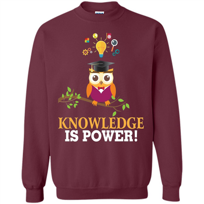 Knowledge is Power T-Shirt Cute Owl Teacher Student T-shirt Maroon
