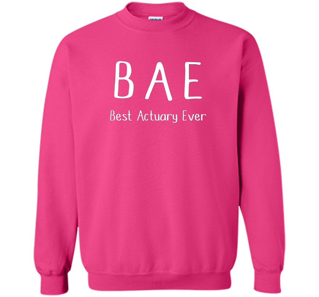 BAE Best Actuary Ever Tshirt funny work job humor shirt shirt Heliconia