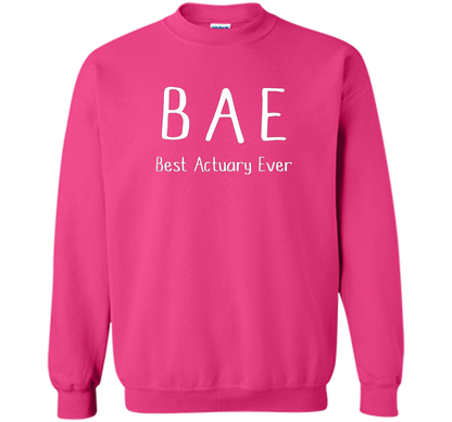 BAE Best Actuary Ever Tshirt funny work job humor shirt shirt Heliconia