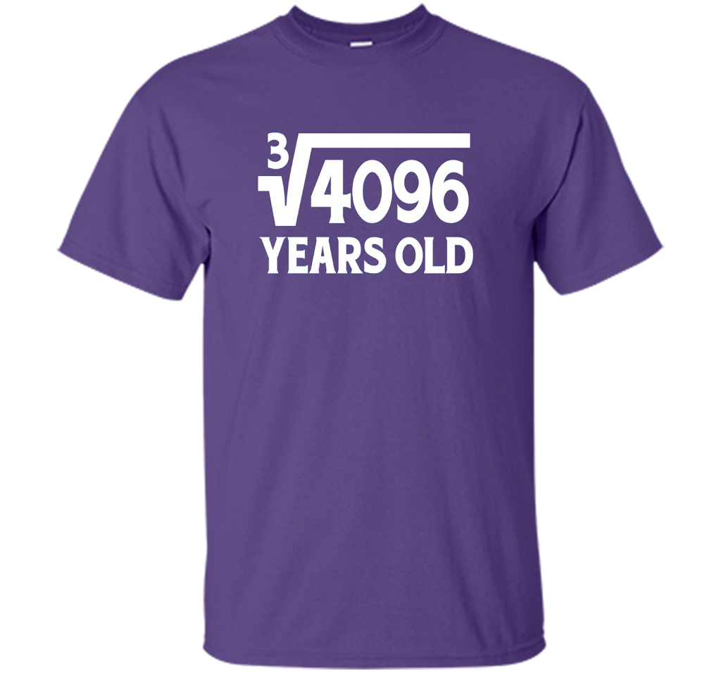 Funny Math Geek 16th Birthday Cube Root T-Shirt 16 Year Old shirt Purple