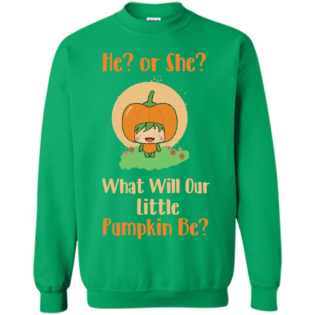 Halloween T-shirt What Will Our Little Pumpkin Be T-shirt