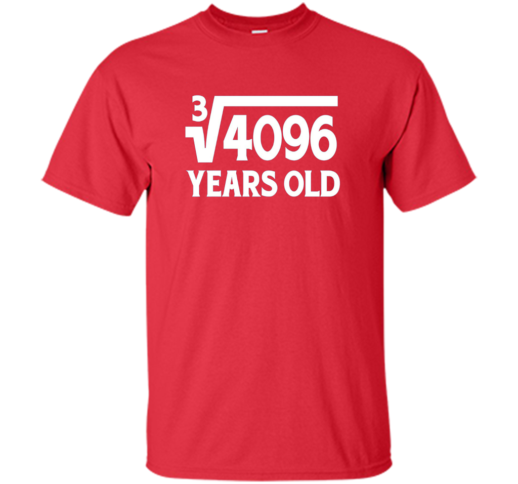 Funny Math Geek 16th Birthday Cube Root T-Shirt 16 Year Old shirt Red