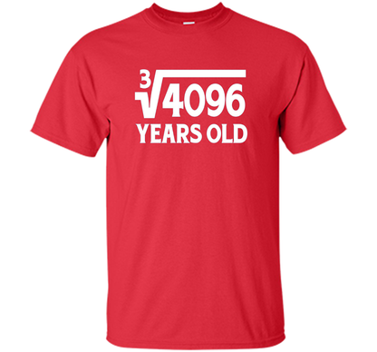 Funny Math Geek 16th Birthday Cube Root T-Shirt 16 Year Old shirt Red