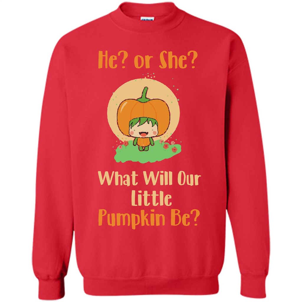 Halloween T-shirt What Will Our Little Pumpkin Be T-shirt