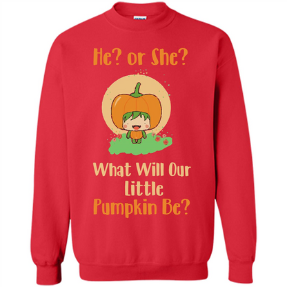 Halloween T-shirt What Will Our Little Pumpkin Be T-shirt