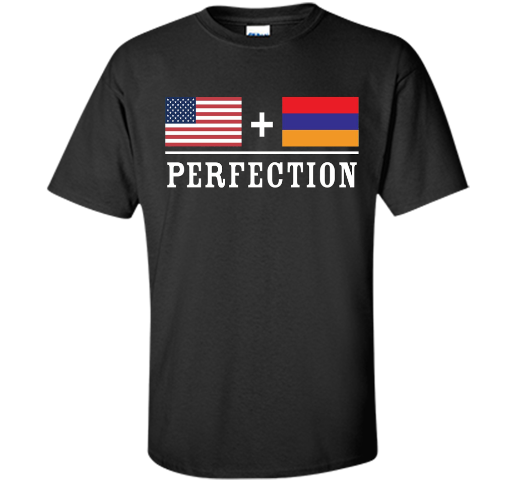 American + Armenian = Perfection Flag T-Shirt t-shirt Black