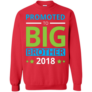 Brothers T-shirt Promoted to Big Brother 2018 T-shirt