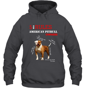 5 For Rules American Pitbull Owners ShirtUnisex Heavyweight Pullover Hoodie